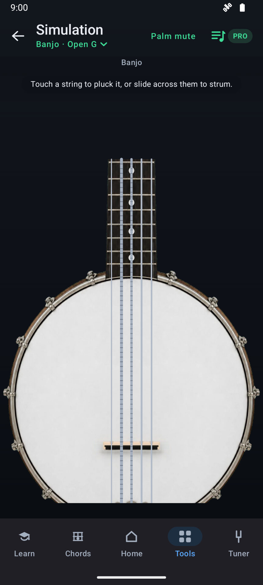 Banjo's playable simulation: a five-string banjo you pluck or strum by touch, tuned to open G.