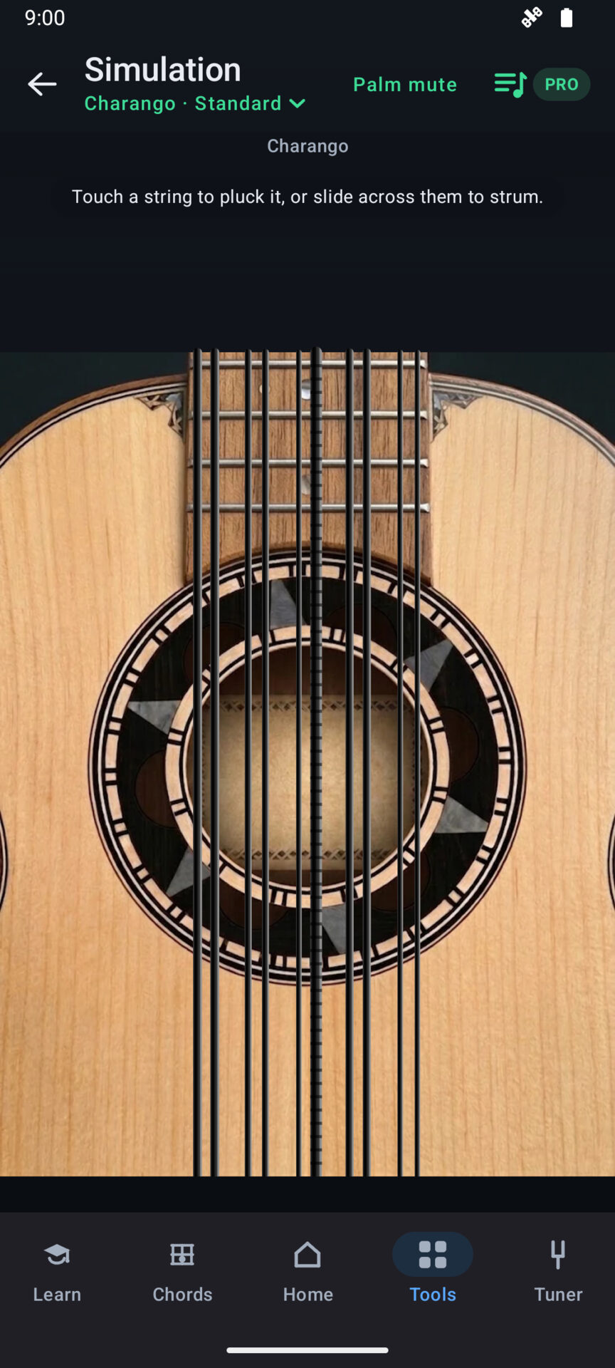 Charango's playable simulation: a full charango body and its ten strings, which you pluck or strum by touch.